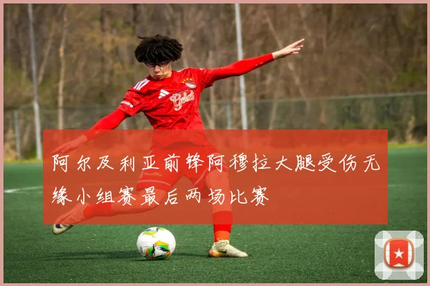 阿尔及利亚前锋阿穆拉大腿受伤无缘小组赛最后两场比赛