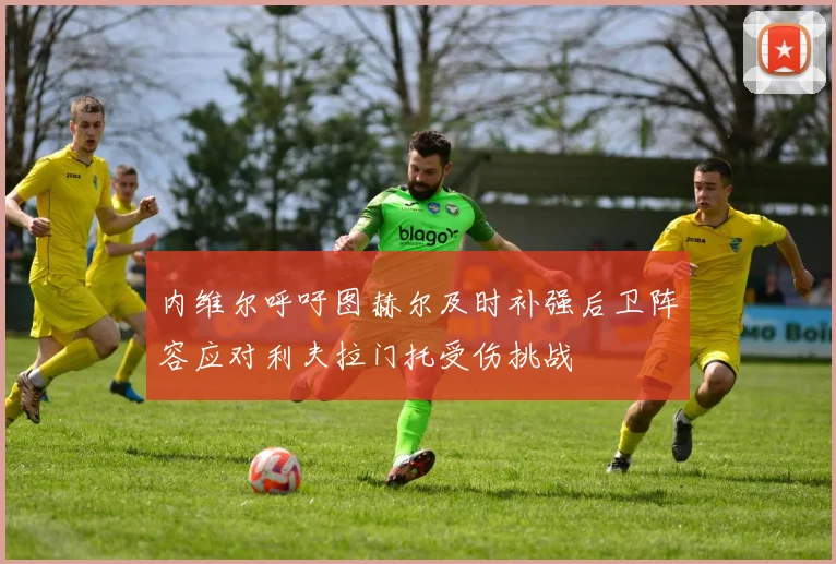 内维尔呼吁图赫尔及时补强后卫阵容应对利夫拉门托受伤挑战
